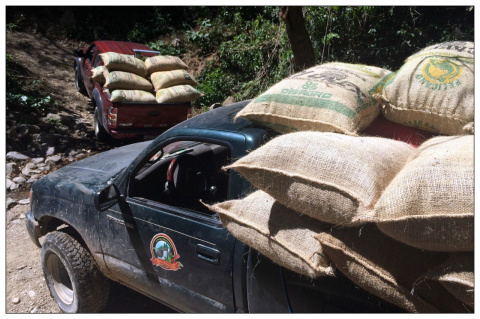 Salwador Peña Redonda PACAMARA Salwador Peña Redonda PACAMARA