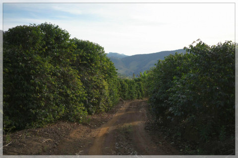Brazylia Sitio Cachoeira Natural Brazylia Sitio Cachoeira Natural