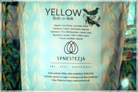 Brazylia Yellow Bob-o-link Brazylia Yellow Bob-o-link