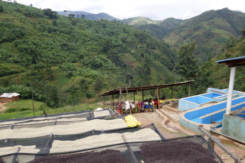 Burundi Sehe Natural Burundi Sehe Natural