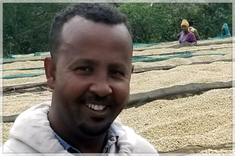 Etiopia Kercha Keloo Honey Etiopia Kercha Keloo Honey
