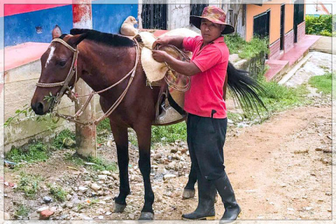 La Cristalina La Cristalina