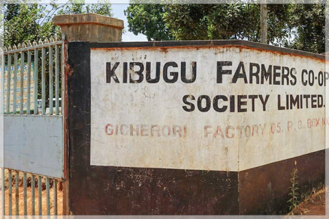 Kenia Embu Ngerwe AA Kenia Embu Ngerwe AA