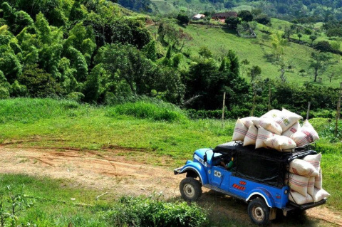 Kolumbia Antioquia La Claudina Espresso