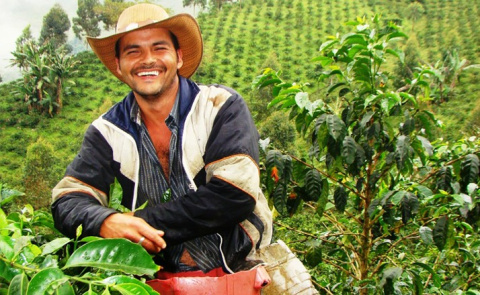 Kolumbia Tolima Rioblanco FW Kolumbia Tolima Rioblanco FW