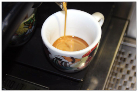 Synestezja Summer Espresso Synestezja Summer Espresso