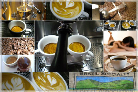 Ariadna JAVA Ariadna JAVA