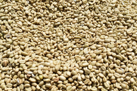 Bella Etiopia Guji/Yirgacheffe Natural Gr. 1 Bella Etiopia Guji/Yirgacheffe Natural Gr. 1