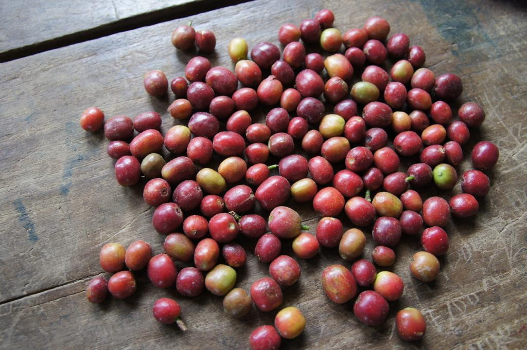 Etiopia Burtukaana Hambela Wamena Natural Etiopia Burtukaana Hambela Wamena Natural