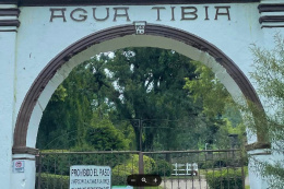 Gwatemala Agua Tibia GEISHA washed