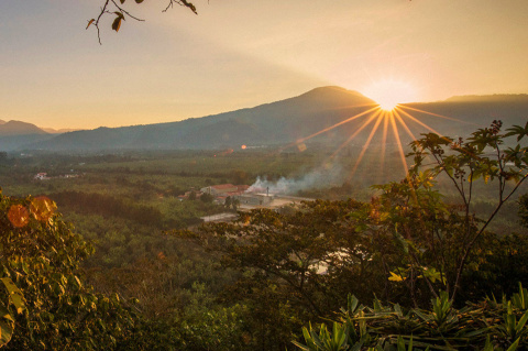 Gwatemala Finca Medina Natural Espresso