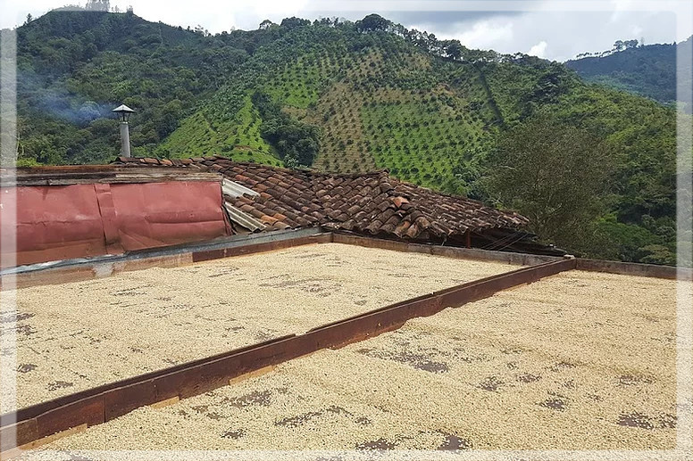 Kolumbia La Veranera i Casa Negra Kolumbia La Veranera i Casa Negra