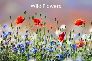 2 x 250g Flowers