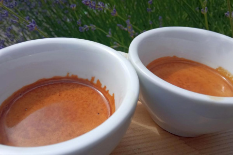 Brazylia 2 x 500g Classic Espresso Tasting Brazylia 2 x 500g Classic Espresso Tasting