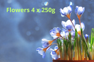 4 x 250g Flowers