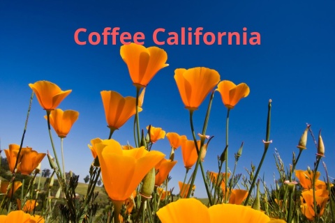 Coffee California Espresso Blend Coffee California Espresso Blend