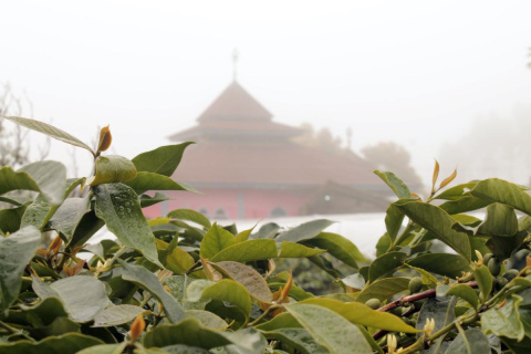 Indonezja JAVA Kerinci HONEY przelew