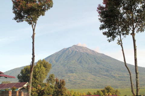 Indonezja JAVA Kerinci HONEY przelew