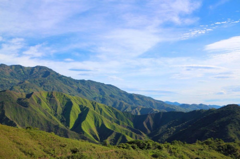 Synestezja Excellence Gesha/Sidama