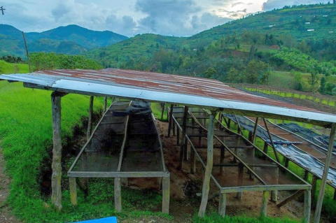 Rwanda Karambo Hill Natural Rwanda Karambo Hill Natural