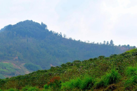 Rwanda Karambo Hill Natural Rwanda Karambo Hill Natural