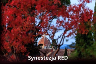 Synestezja RED Classic