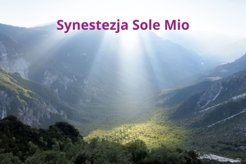Synestezja Sole Mio Espresso