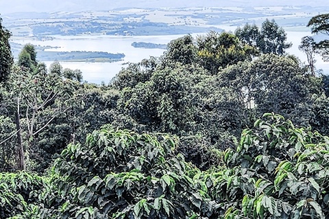 Brazylia Boa Vista Anderson Monteiro Andrade