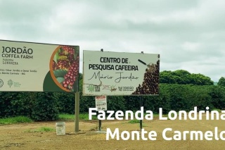 Brazylia Londrina Controlled Fermentation