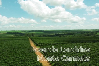 Brazylia Londrina Controlled Fermentation