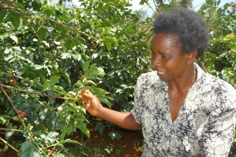 Kenia Gicherori AA