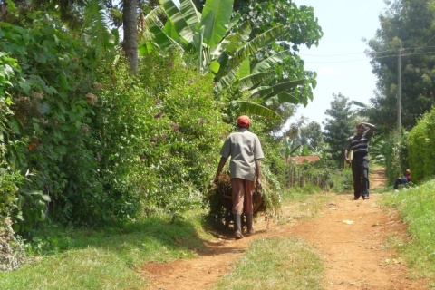 Kenia Gicherori AA