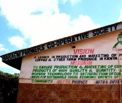 Kenyan Beauty Coffee