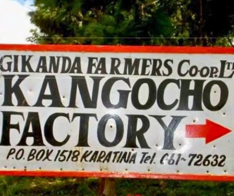 Kenia Kenyan Beauty Coffee II