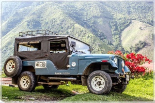 Kolumbia La Luisa Kiwi Modulated Honey