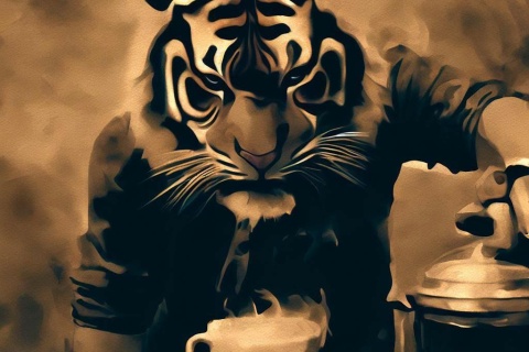 Tiger espresso SET