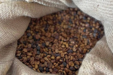 Meksyk Teocelo Finca SantOli Natural