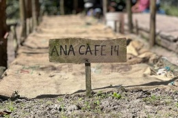 Meksyk Teocelo Finca SantOli Natural CoE